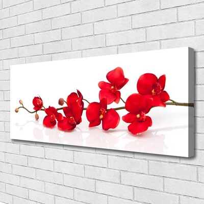 Leinwand-Bilder Blumen Pflanzen