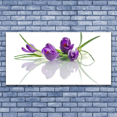 Leinwand-Bilder Blumen Pflanzen