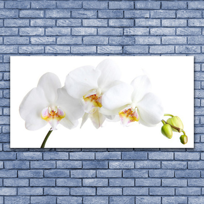 Leinwand-Bilder Blumen Pflanzen