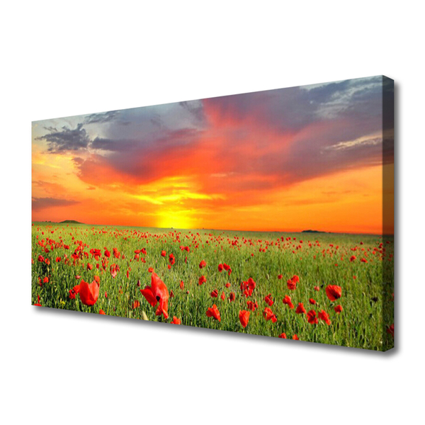 Leinwand-Bilder Mohnblumen Sonne Natur