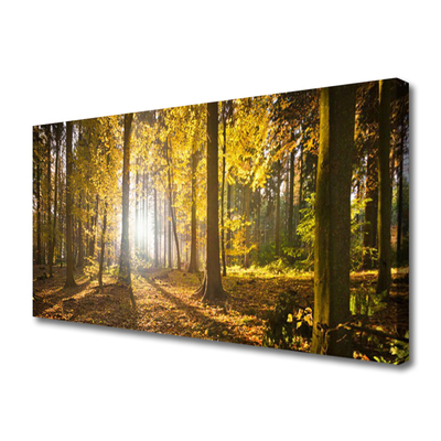 Leinwand-Bilder Wald Natur