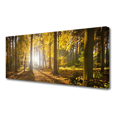 Leinwand-Bilder Wald Natur