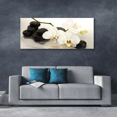 Leinwand-Bilder Blumen Steine Kunst