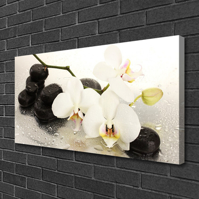 Leinwand-Bilder Blumen Steine Kunst