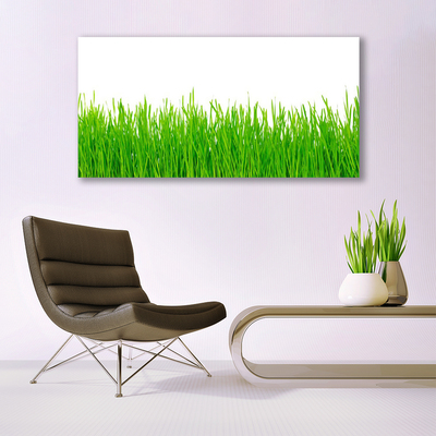 Leinwand-Bilder Gras Natur