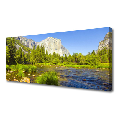 Leinwand-Bilder See Gebirge Wald Natur