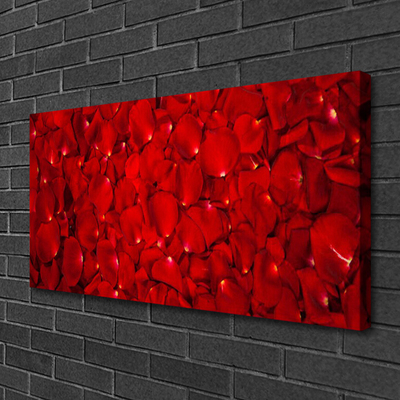 Leinwand-Bilder Blütenblätter Pflanzen