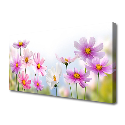 Leinwand-Bilder Blumen Pflanzen