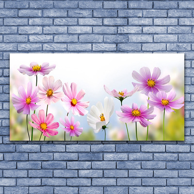 Leinwand-Bilder Blumen Pflanzen