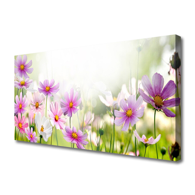 Leinwand-Bilder Blumen Pflanzen