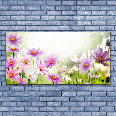 Leinwand-Bilder Blumen Pflanzen