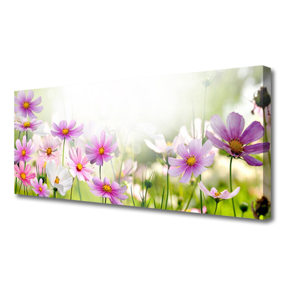 Leinwand-Bilder Blumen Pflanzen