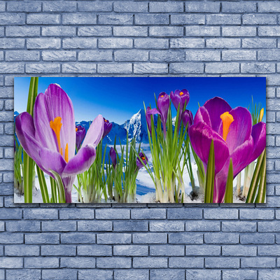 Leinwand-Bilder Blumen Pflanzen