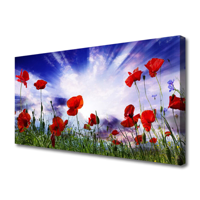 Leinwand-Bilder Mohnblumen Natur