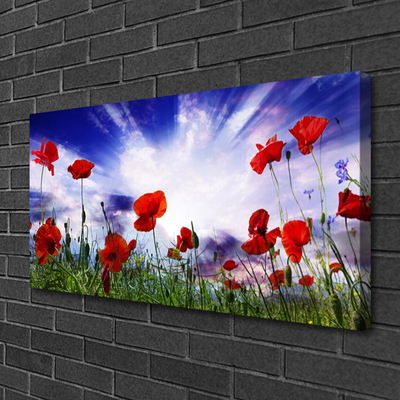 Leinwand-Bilder Mohnblumen Natur