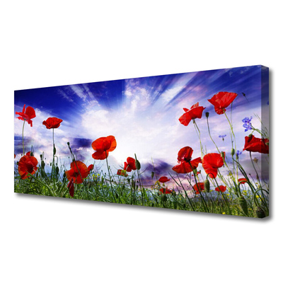 Leinwand-Bilder Mohnblumen Natur