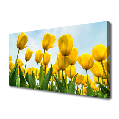 Leinwand-Bilder Tulpen Pflanzen