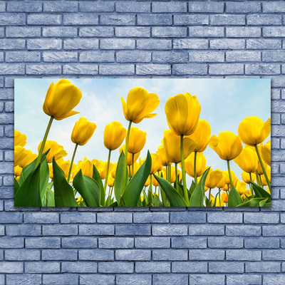 Leinwand-Bilder Tulpen Pflanzen