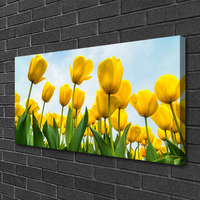 Leinwand-Bilder Tulpen Pflanzen