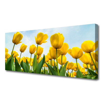 Leinwand-Bilder Tulpen Pflanzen