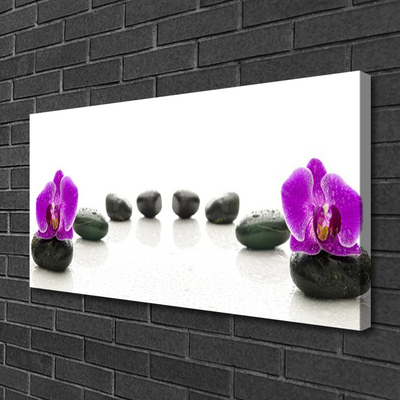 Leinwand-Bilder Blumen Steine Kunst