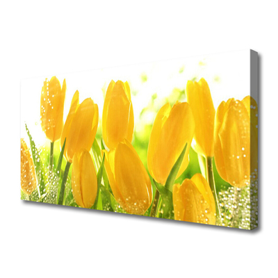 Leinwand-Bilder Tulpen Pflanzen