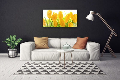 Leinwand-Bilder Tulpen Pflanzen