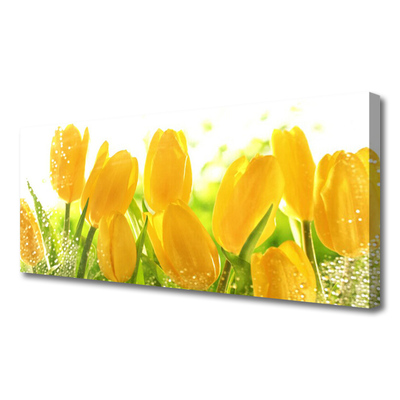 Leinwand-Bilder Tulpen Pflanzen