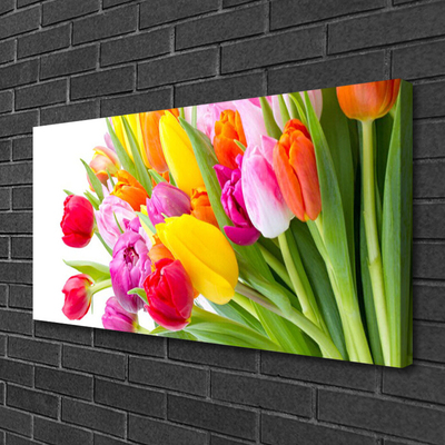 Leinwand-Bilder Tulpen Pflanzen