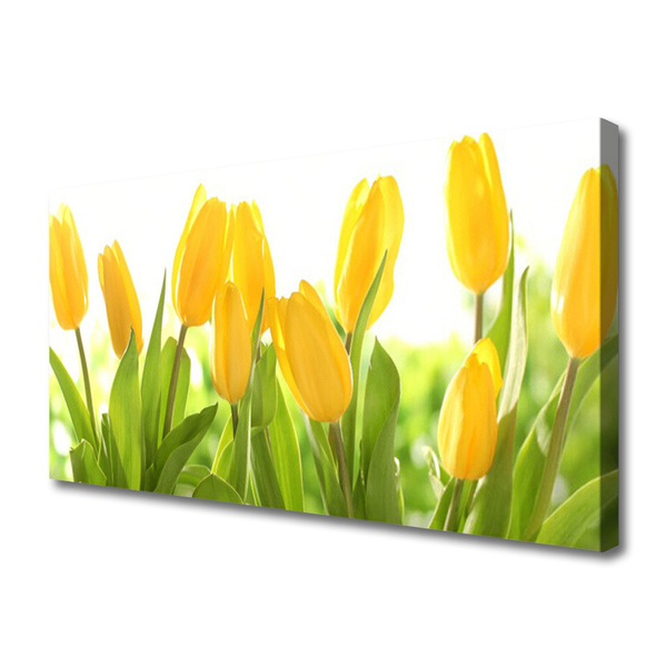 Leinwand-Bilder Tulpen Pflanzen