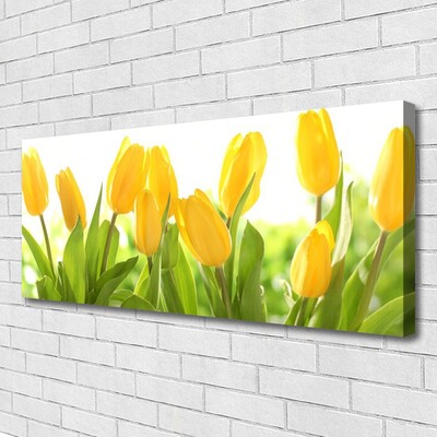 Leinwand-Bilder Tulpen Pflanzen