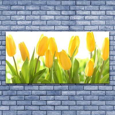 Leinwand-Bilder Tulpen Pflanzen