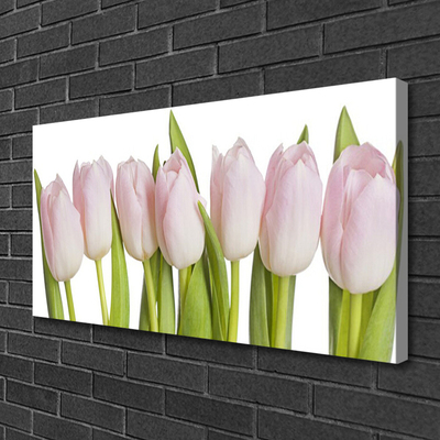 Leinwand-Bilder Tulpen Pflanzen