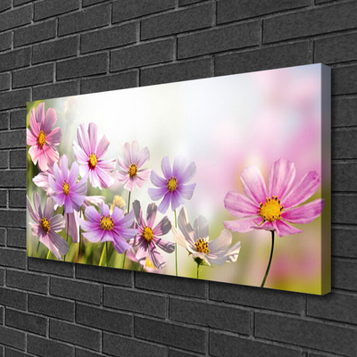 Leinwand-Bilder Blumen Pflanzen