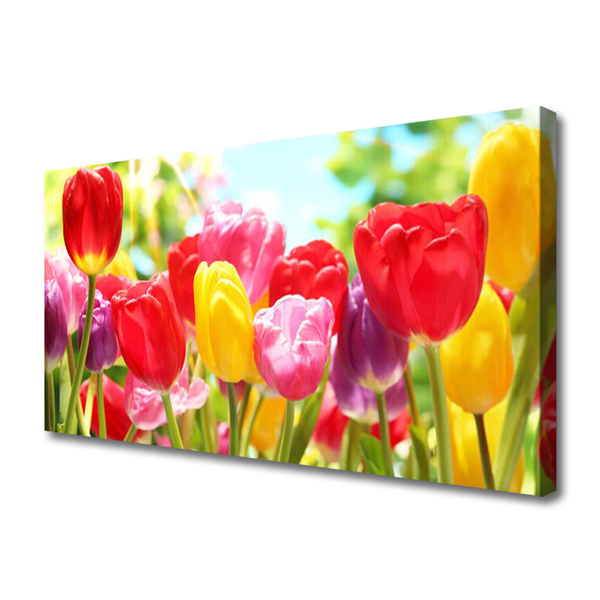 Leinwand-Bilder Tulpen Pflanzen