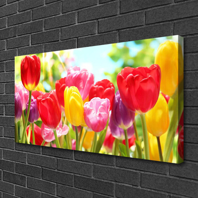 Leinwand-Bilder Tulpen Pflanzen