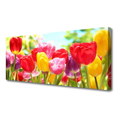 Leinwand-Bilder Tulpen Pflanzen