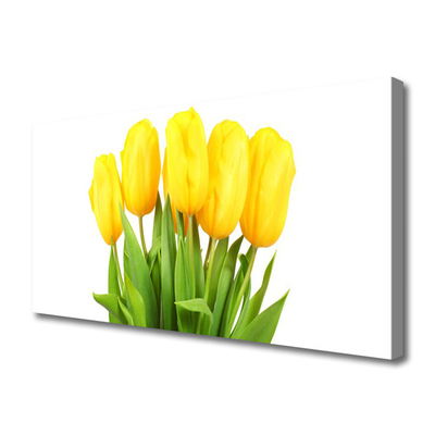 Leinwand-Bilder Tulpen Pflanzen