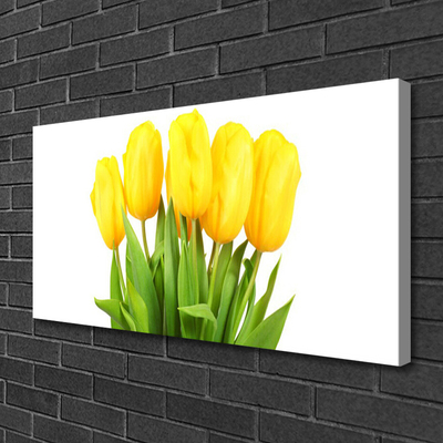 Leinwand-Bilder Tulpen Pflanzen