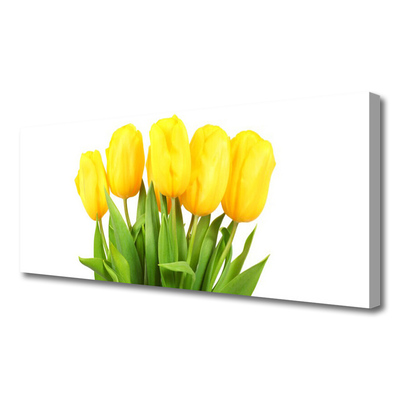 Leinwand-Bilder Tulpen Pflanzen