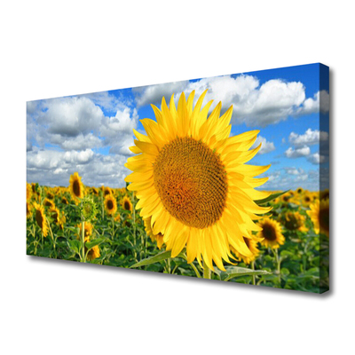 Leinwand-Bilder Sonnenblumen Pflanzen