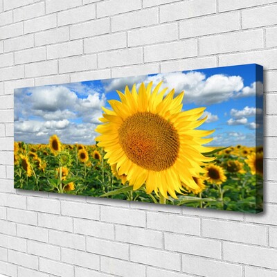 Leinwand-Bilder Sonnenblumen Pflanzen