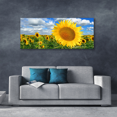 Leinwand-Bilder Sonnenblumen Pflanzen