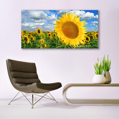 Leinwand-Bilder Sonnenblumen Pflanzen