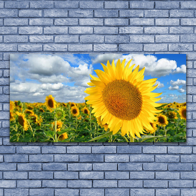 Leinwand-Bilder Sonnenblumen Pflanzen