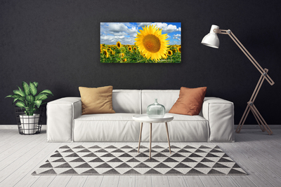 Leinwand-Bilder Sonnenblumen Pflanzen