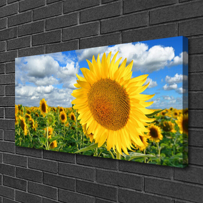 Leinwand-Bilder Sonnenblumen Pflanzen