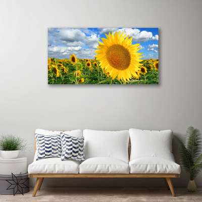 Leinwand-Bilder Sonnenblumen Pflanzen