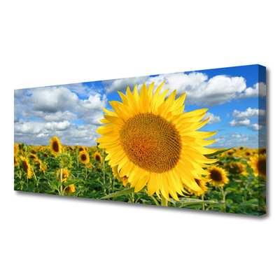 Leinwand-Bilder Sonnenblumen Pflanzen