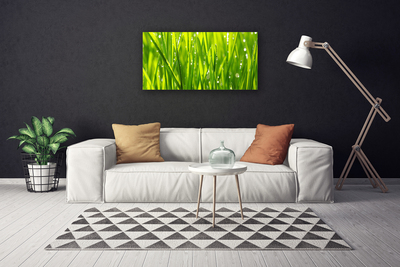 Leinwand-Bilder Gras Natur